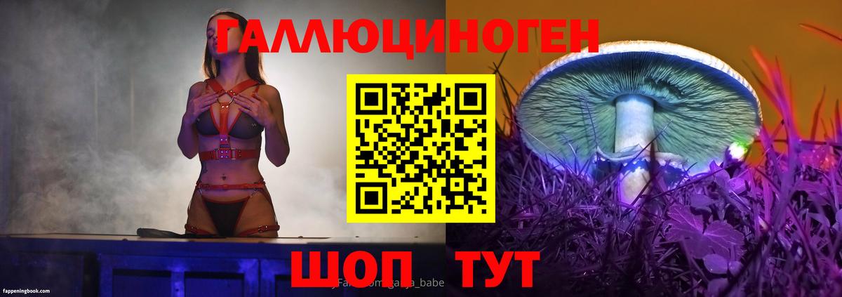 Псилоцибиновые грибы Psilocybe Кольчугино